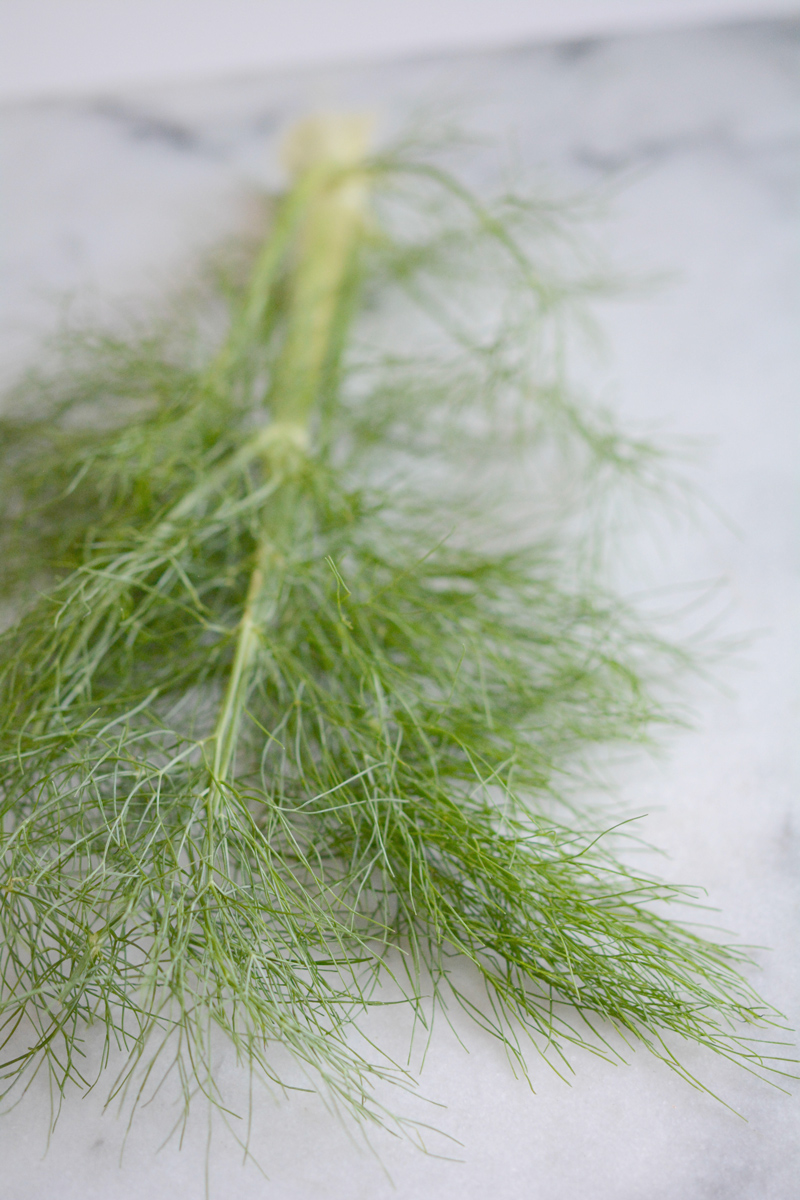 Brown Rice Salad-Fennel