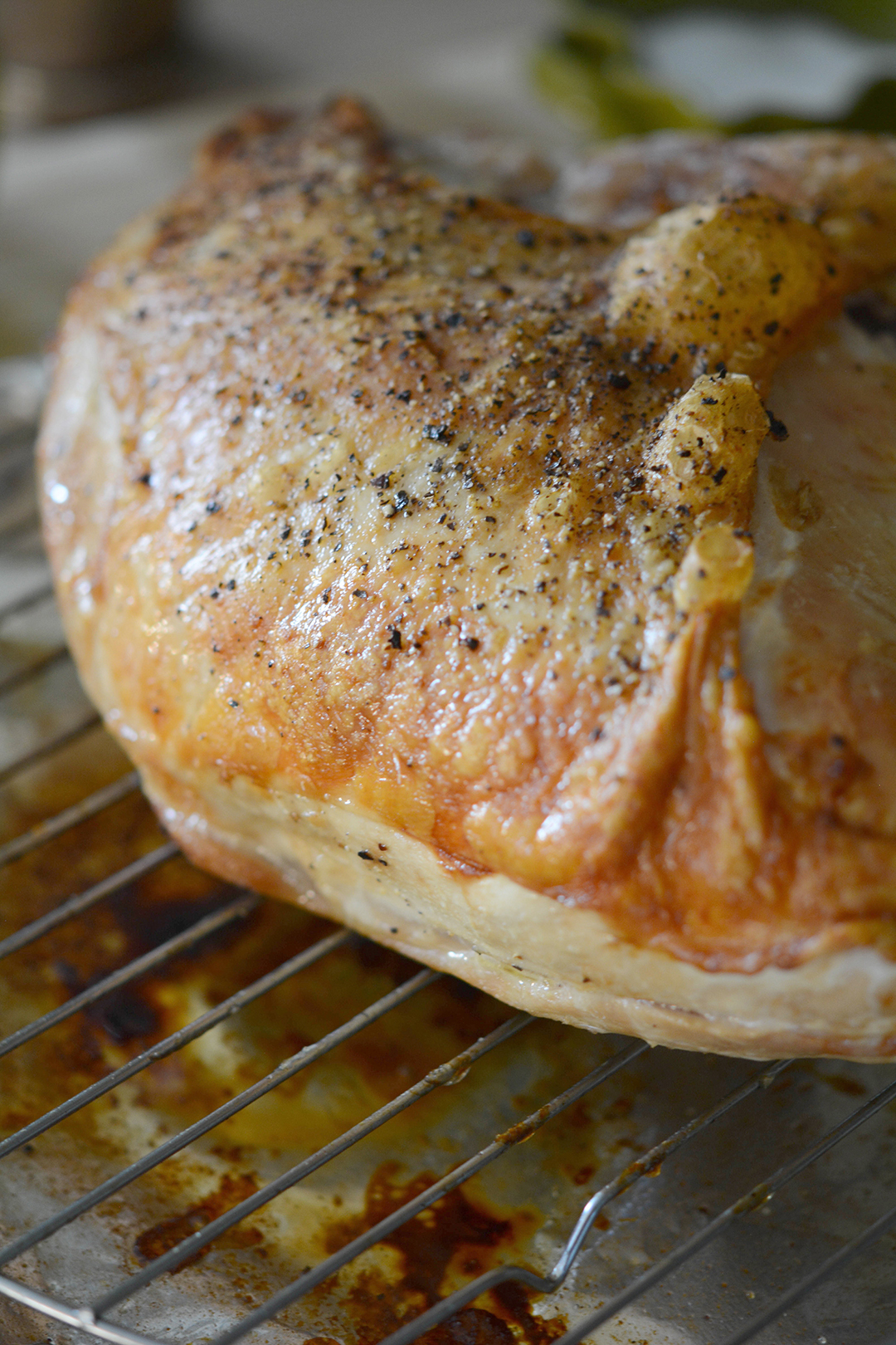 Roasted Turkey Breast