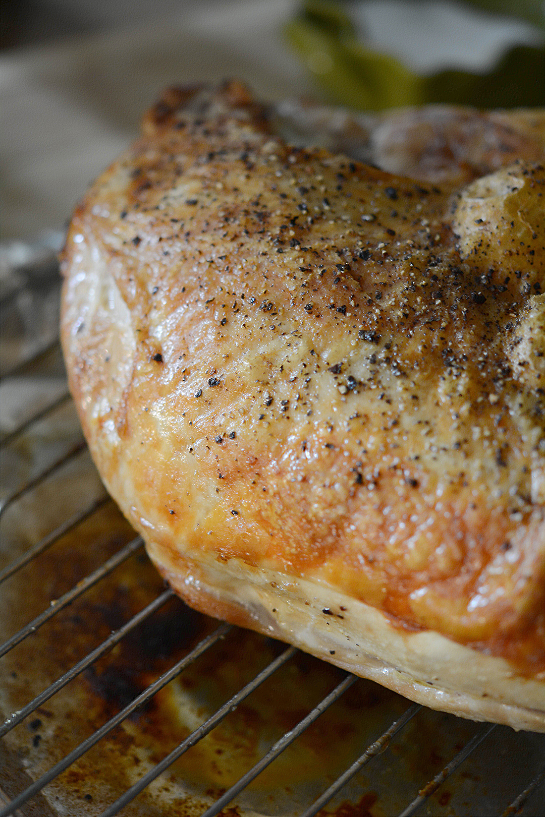 Roasted Turkey Breast