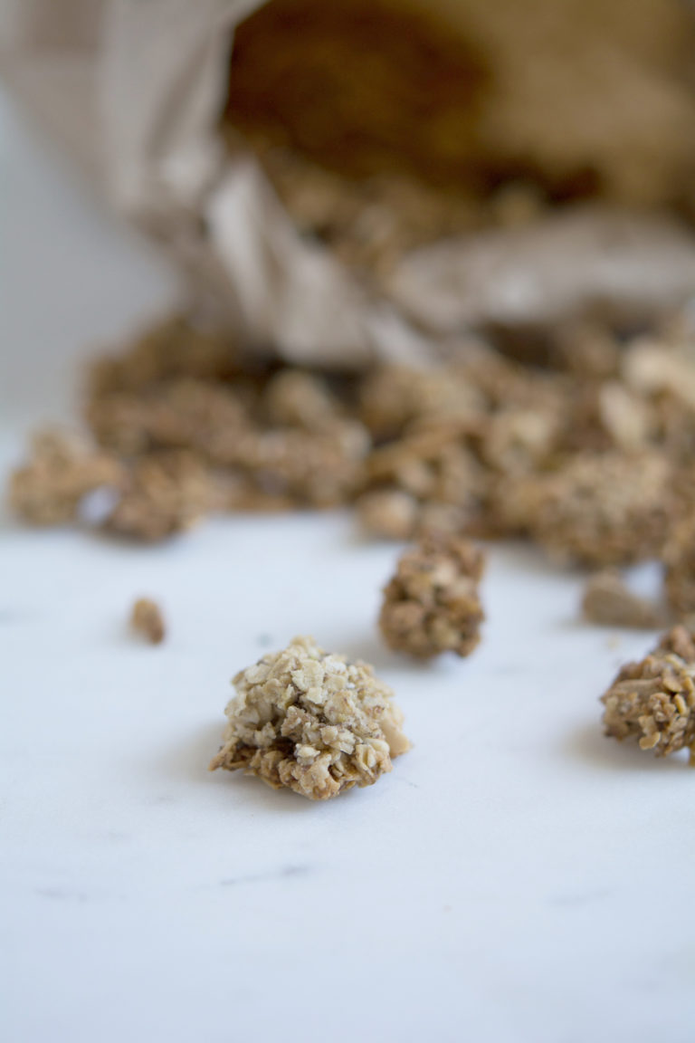 homemade granola photo