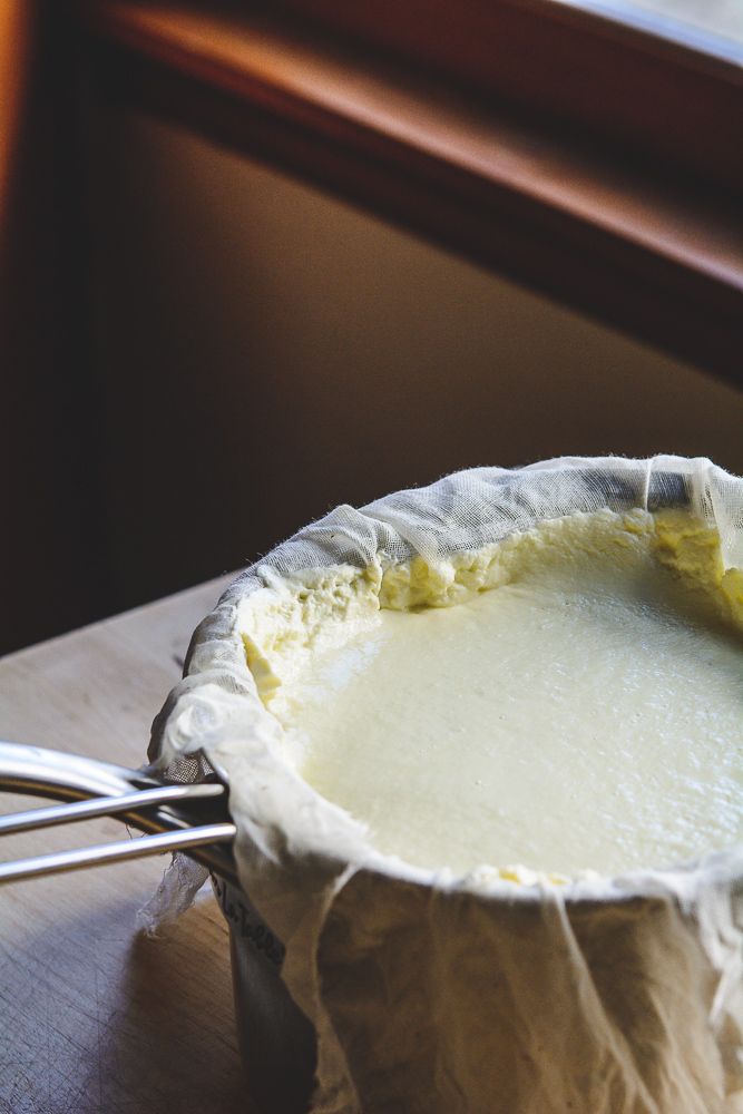 Ricotta cheese photo in strainer with curds forming