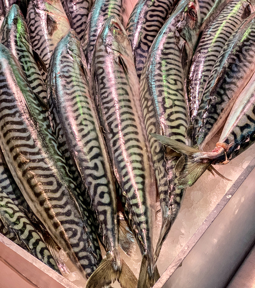 photo of mackerel at English market