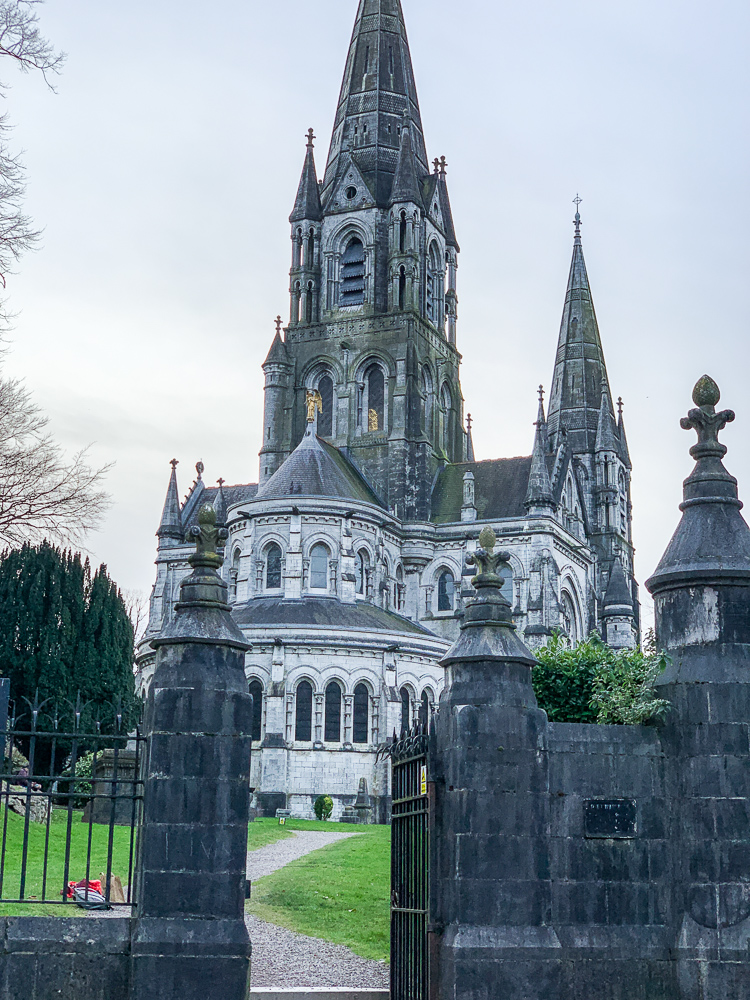 photo of st. fin barrs in cork