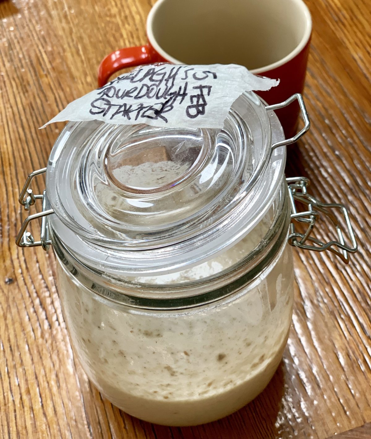 photo of sonny sourdough starter in jug