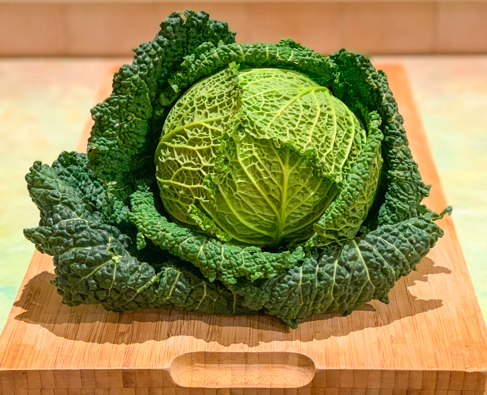 photo of a head of cabbage