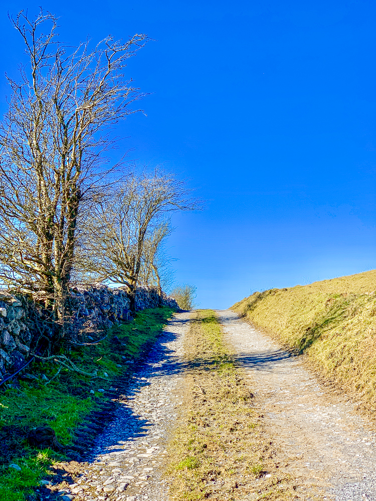 Tractor road in County Clare