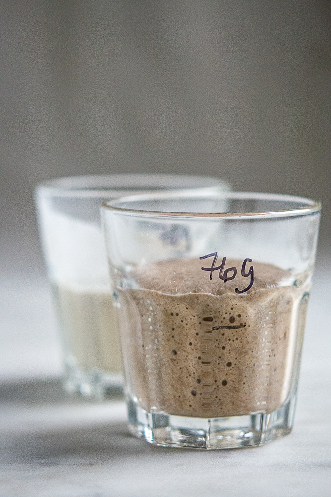 photo of rye sourdough starter in a glass