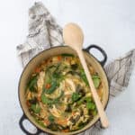 Overhead shot of chicken soup with lemon and orzo in soup pot