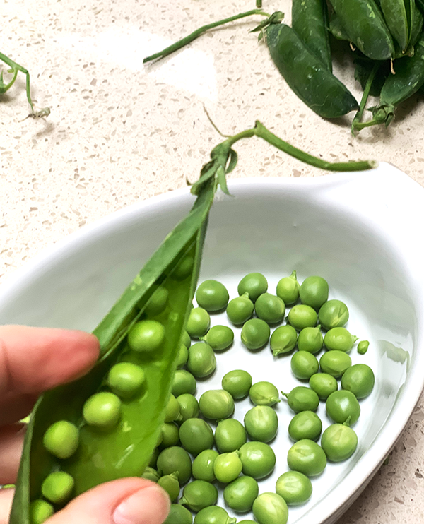 shucking fresh pea pods