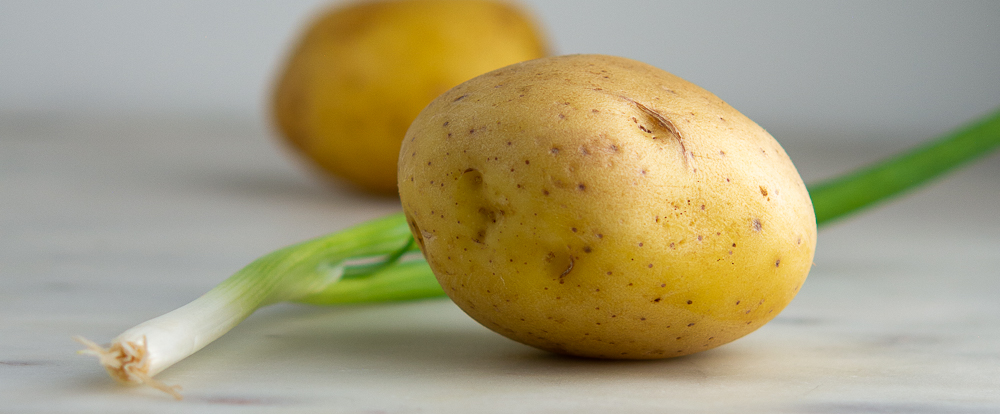 potato and green onion/scallion